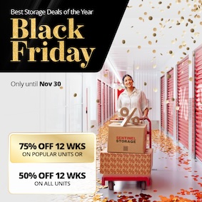 Sentinel Storage - Langley Promotion